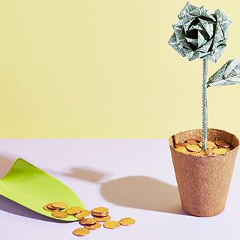 How can we change our perspective towards degrees for a better economy?